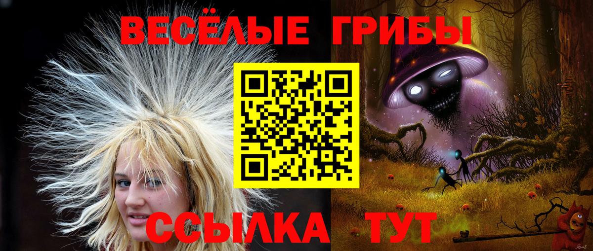 Псилоцибиновые грибы GOLDEN TEACHER  Псилоцибиновые грибы Psilocybine cubensis  Киржач  купить наркоту  Вход с VPN 